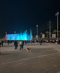 ��Ȫ����