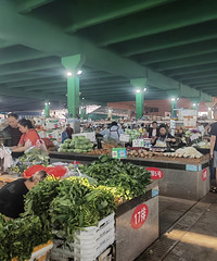 �����ڲ��г�һ��Сʱ��ѡ������֢���ˣ���֪�������Ӳ�