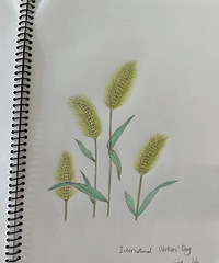 �Ӱ���Ȼ�Ļ����ݲݣ����Լ�ϲ������������¼�����͸��Լ�