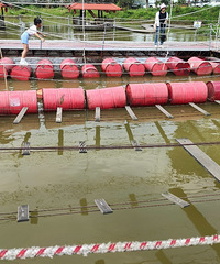 ��һ�������޼��ٹ��̫���ˣ��³��Ͻţ�