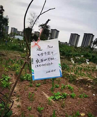 �ڴ����óǷ�ѩ�������̬