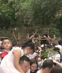 日接待12万人次!重庆动物园人气旺