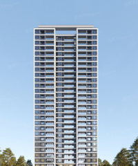 ��ƺ6�������������£��ϳ����þ�û��ô������