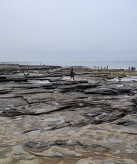 ��һ����ȥ�����������˺����г������˵��ǻ������˲ʺ�