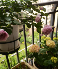 ̨԰ļÿ¶вͬĻǿư