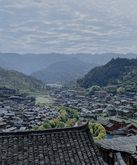 ȥǧկԶ󲨺͹Լ۱ȸ