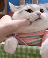 ������ֵ����ѩ�з�T��3��69��������ʿ����9.9