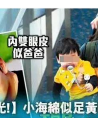 ��ý�����ֲ����´���̫����