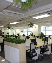 气!同事阳了在办公室还不戴口罩