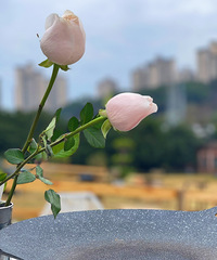 89��158CM����ҽԺ��С������飬ϣ���������м�ͥ���θ�