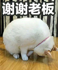 想看看你们厨房的调料都是怎么放的呀