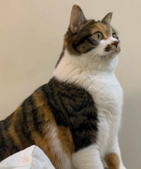 �Ҽ�������Ȼ��12������