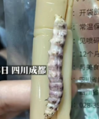 女子吃手剥笋发现内藏竹虫