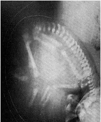 �����ҽ�����Ʒ�˲�䣺�Ҿ�����һλ�и���