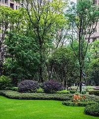 �·��շ�ʱ��Ҫע����Щ����?