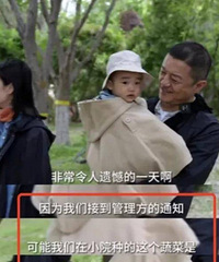 �������ڱ���СԺ�ֲ˱����棬�γ�����ֱ��̫��ϧ