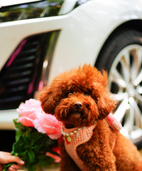 ���µ��죬�յ��������졣OOTD