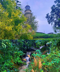 �����ֽ����ޱ���� �������� ��װ������λ�������Լ۱�Ŷ����