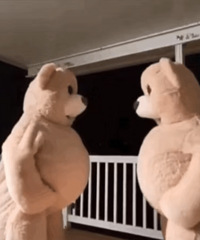 ������ֵ���򡿽�˹��˫���98����ɽ��������Ƭ1ǧ��19