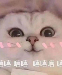 һЩ�������С�ĵã�������ϰ�߲��н���ĺ�Ƥ��