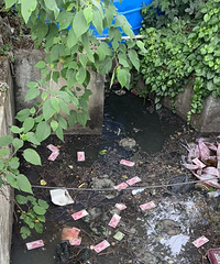 18T������Ⱥ����˭����