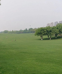 没办法,下楼就是中央公园