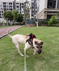 ������������ס��˵�£���ϲ��ס�����������徻���޹������򼷡�