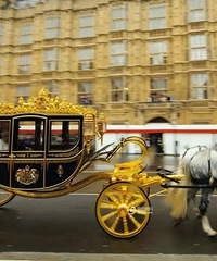 �����������ơ��ƶ�����ʷ����ݡ�