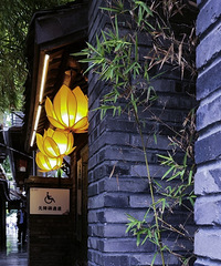 ���ڳɶ������㡭����խ����&����·