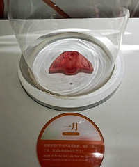 ���еĲ�ͬʱ�ڣ�������ü�����