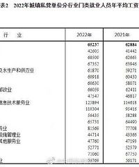 2022��ƽ�����ʳ�¯��ITҵ��ߣ�����ҵ�ڶ������ز���ҵ��