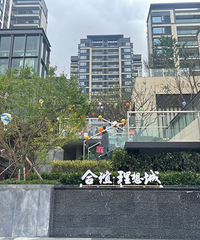 �ӷ��˸о�������