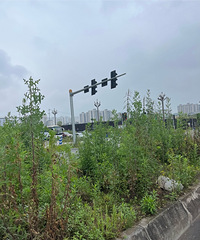 ������������úõ����빫԰����Ҫ�山��һ���֣�������һ������