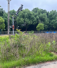 ������������úõ����빫԰����Ҫ�山��һ���֣�������һ������