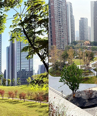 ����粨һ��󽭱��칫԰��͹���״�����ĺ�����