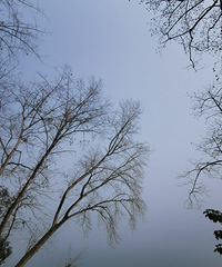 92��155CM������С������飬ϣ���Է������ȶ�