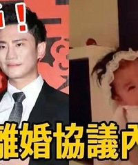 ���������Ϲ�Э����飿