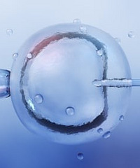 Ӣ���׸�������Ӥ����������������һ����ĺ���