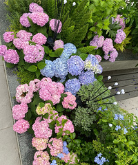 ڴĻ԰ѽڣɹɹһĻ԰