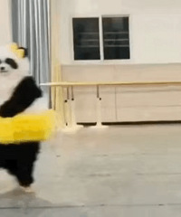 ������ֵ�������߿���ϯ������89���ⲩ��ѧ����30Ƭ49