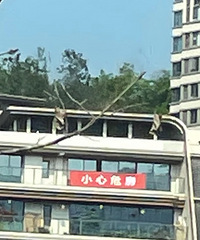 �̼Һ�լ��Σ��������ţ���û����Ҫ���