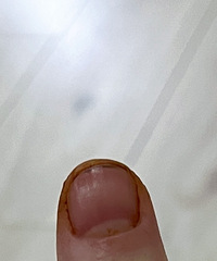 �������񼾽��޶������ף�������������ǹû��