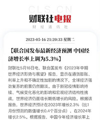 �й����ø��ռӿ�����Ϲ�Ԥ��:�й������������ϵ���5.3%