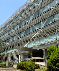 日本留学回国后的常见就业方向,赶紧收藏
