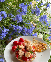 ɹɹ�����ҵ���ѩ���� û��ʱ��ȥ�޼�����Щ���ң���������