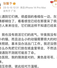 张馨予救助流浪猫反被指责