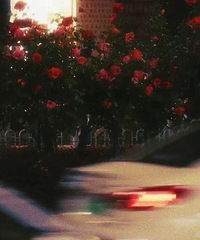 89178CM50ĸ飬ϣԷ160