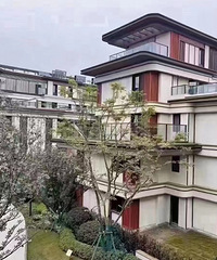 ׼�ַ����ַ��Ĳ�ͬ