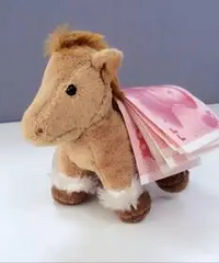 如果你有钱了,你会去做什么?