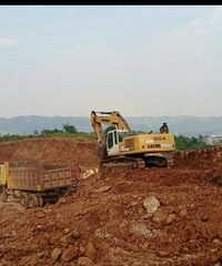 ��ѧ�Ƿ���̨�Ե�ѧУ������